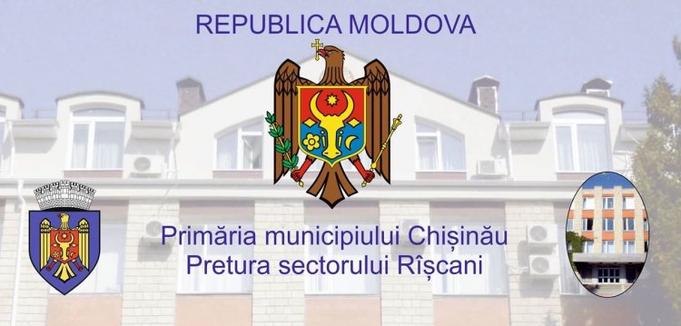 Organigrama