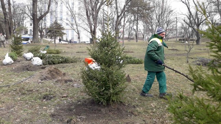 Pentru un sector mai verde, mai curat! În sectorul Rîșcani...