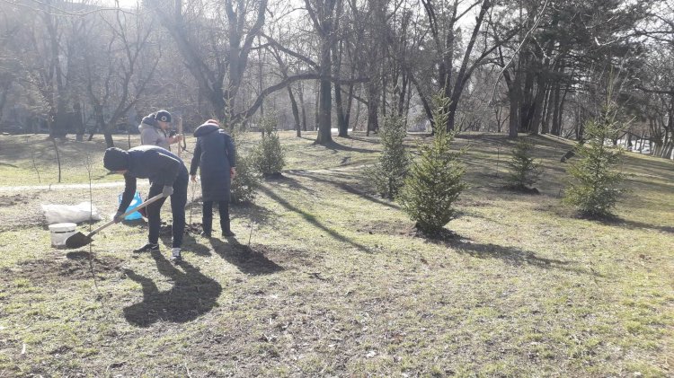 Cu acțiuni de înverzire a sectorului Ca în fiecare...