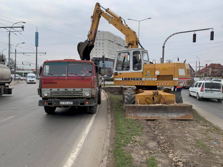 În locul panourilor publicitare - spații verzi După...