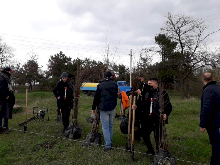 Continuă perioada de plantare Dezvoltăm conlucrarea pentru...