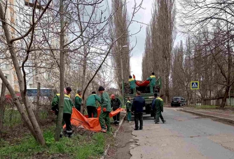 Ce ține de salubrizare, 21.04.2021 În sectorul Rîșcani...