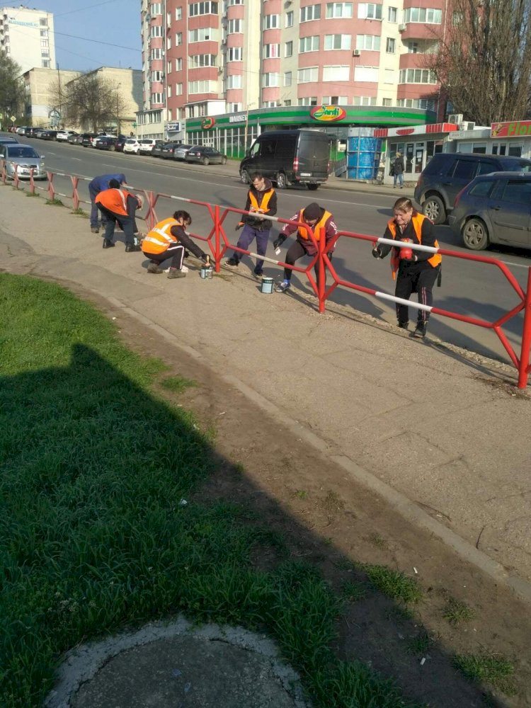 Amenajări în teren Vopsirea barelor de protecție pe adresele:...
